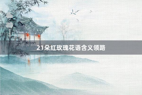 21朵红玫瑰花语含义领路