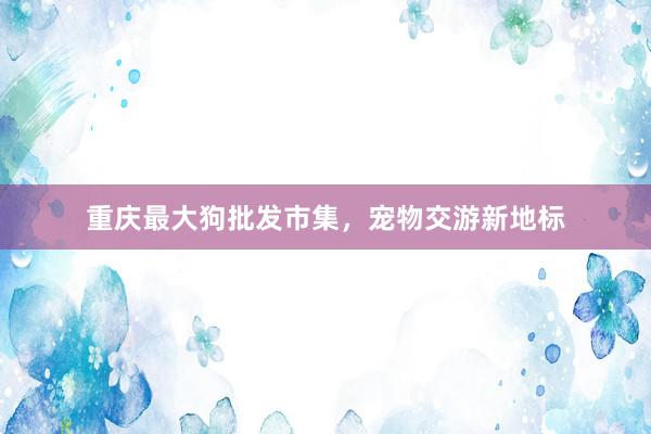重庆最大狗批发市集，宠物交游新地标