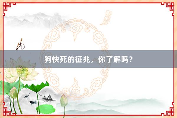 狗快死的征兆,你了解吗?